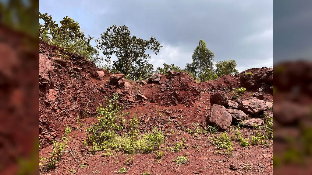 Vasundhara field work — image 01